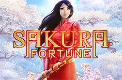 Spielen Sie den Spielautomaten Sakura Fortune