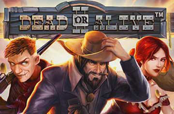 Play Dead or Alive 2 Slot
