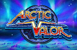 Arctic Valor Tragamonedas