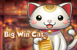 Spela Big Win Cat Slot